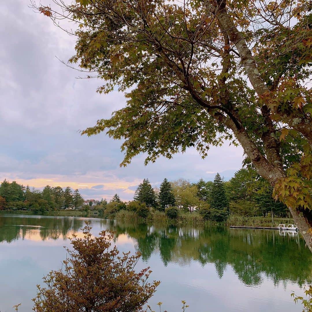 サキ吉さんのインスタグラム写真 - (サキ吉Instagram)「長野県の蓼科に女子旅✨ ． 自然がいっぱい、 空気も美味しくて気持ちいいー☺️🌳🌲 ． 今回はリゾートホテル蓼科に宿泊😌 チェックインして まずはホテルのすぐ横にある、 #蓼科高原芸術の森彫刻公園 に行ってきました✨ 芸術の秋だからね👏 写真映えスポットもたくさん📸 暗くなってからのライトアップも綺麗だよ✨ ． しかも、そこからすぐ蓼科湖に繋がってた✨ 蓼科湖を眺めながらジェラート食べました🍨 蓼科湖すぐのソーセージ屋さんがすごい可愛くて！✨ そこにジェラートもあったよ😘 ． 次の投稿で泊まってるホテルの紹介もします❣️ 続く……💋 ． #蓼科はたてしなと読む #蓼科湖 #リゾートホテル蓼科 #蓼科は涼しい #長野県 #温泉旅行 #女子旅」9月30日 10時49分 - sakikichi1201