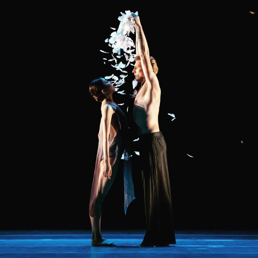 のインスタグラム：「@edwaardliang’s beautiful ballet “Murmuration”💕 エドワードの『マーマレーション』(鳥の群れ)は本当に素敵な作品💕  #houstonballet #houston #ballet #ballerina #beautifulballet」