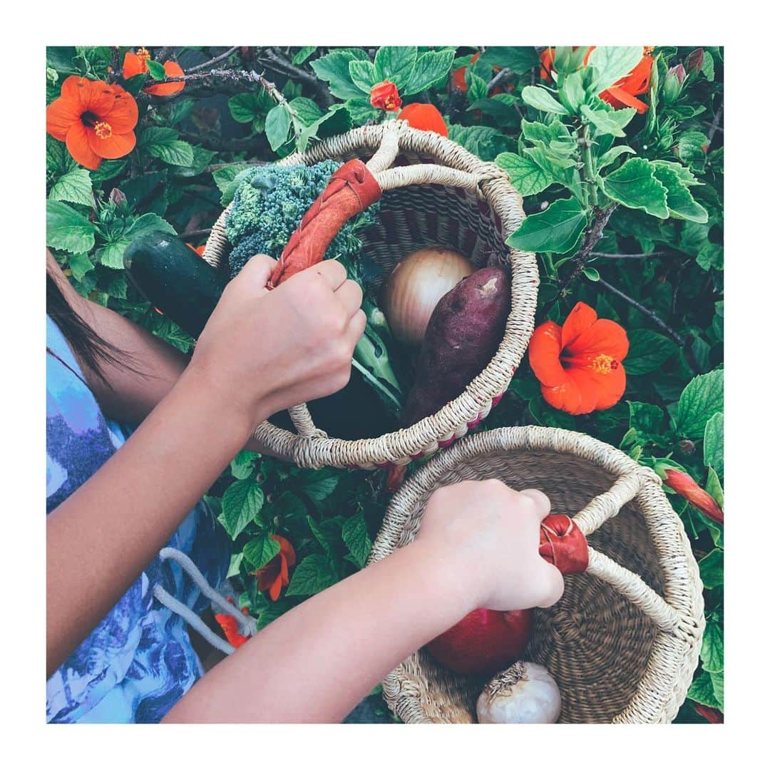 吉川ひなのさんのインスタグラム写真 - (吉川ひなのInstagram)「お買い物🌺🥦🍠🍎 #HinanoSustainableLife」9月30日 11時38分 - hinanoyoshikawa