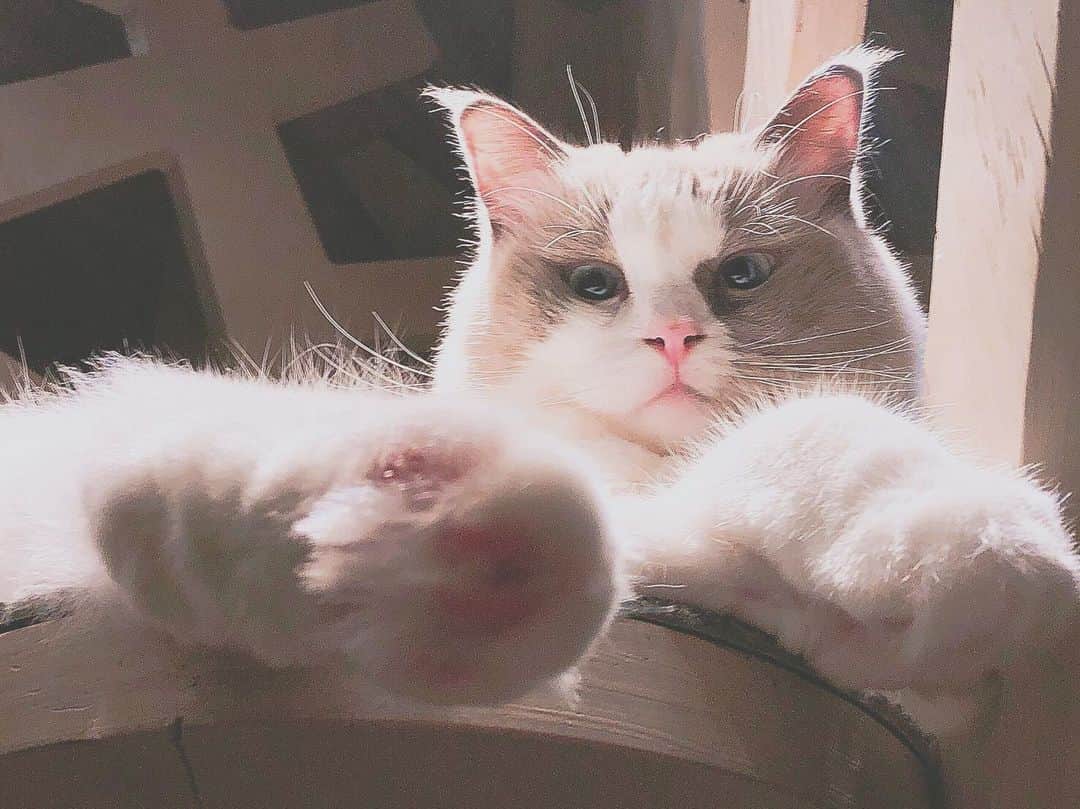 水城夢子のグルメインスタ