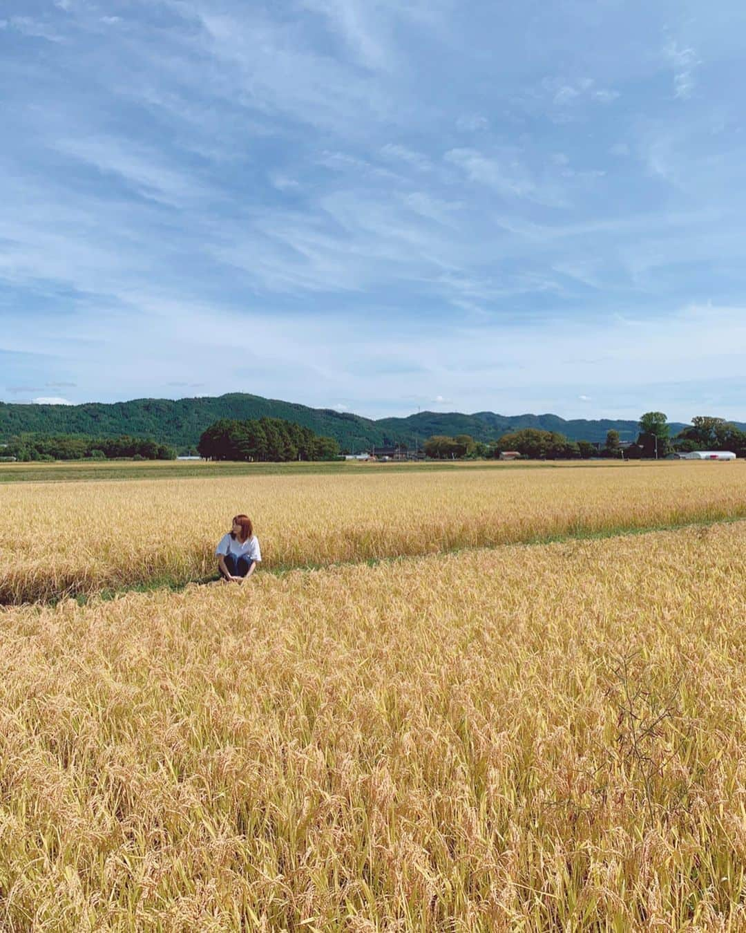 堀みづきさんのインスタグラム写真 - (堀みづきInstagram)「山形の田んぼ🌾 秋ですね〜🍁🍂 角度によって一面金色に見える稲とお空がとっても綺麗。 おばあちゃんから新米をもらいました👵 食べるの楽しみだなぁ🍚 3枚目👉みづきを探してね #山形県 #酒田市 #酒田 #庄内  #田んぼ #稲 #稲刈り#庄内の秋 #新米#光の湊 #月のホテル #月のホテルアンバサダー #tsukinohotel #hotel #PR」9月30日 18時59分 - mizuki_027