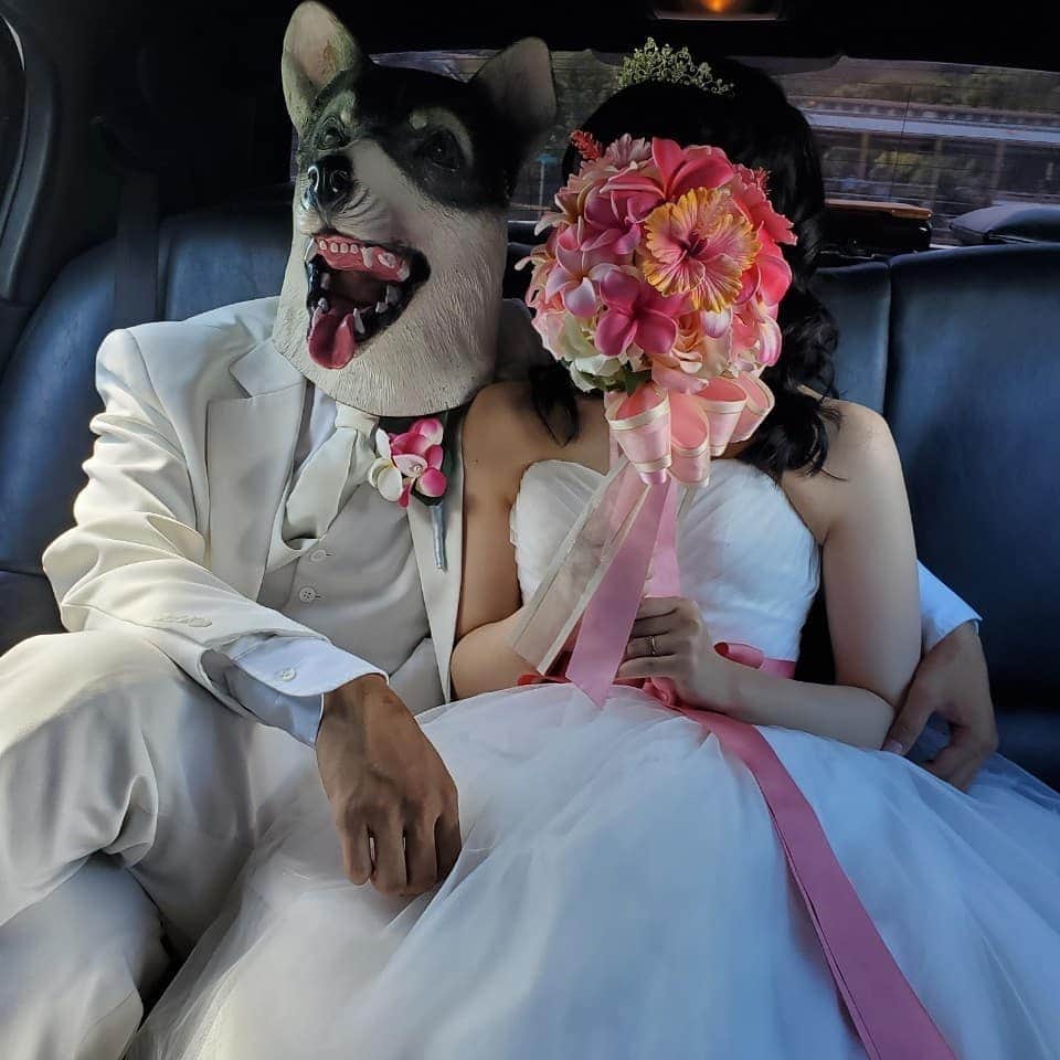 中村竜太郎 さんのインスタグラム写真 - (中村竜太郎 Instagram)「妹の結婚式でハワイに行ったついでに、僕達夫婦もハワイでフォトウエディング！ #ハワイ #フォトウエディング #シューマッハ中村」9月30日 18時54分 - schumacher_ryutaro