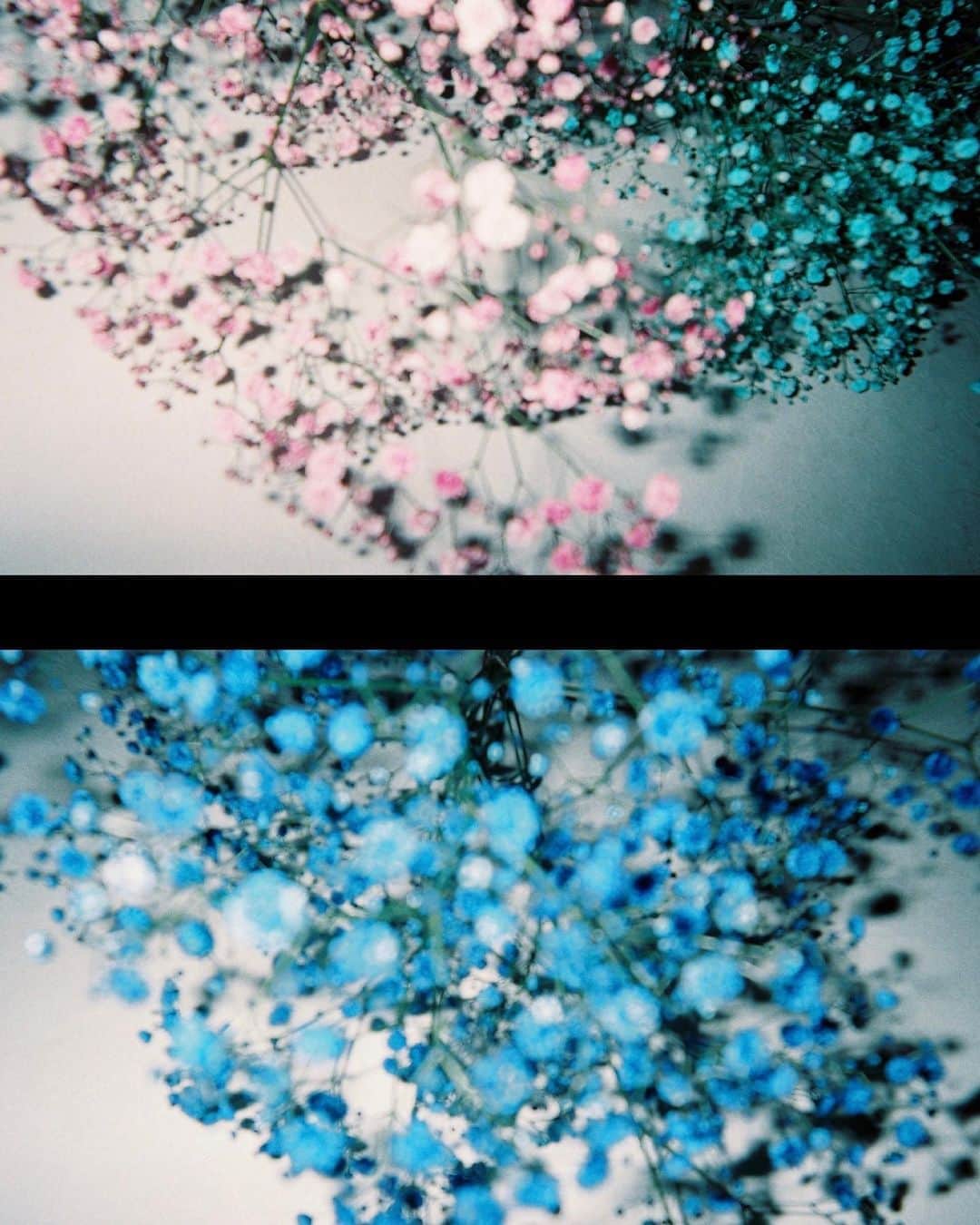 杉咲花のインスタグラム：「💠」