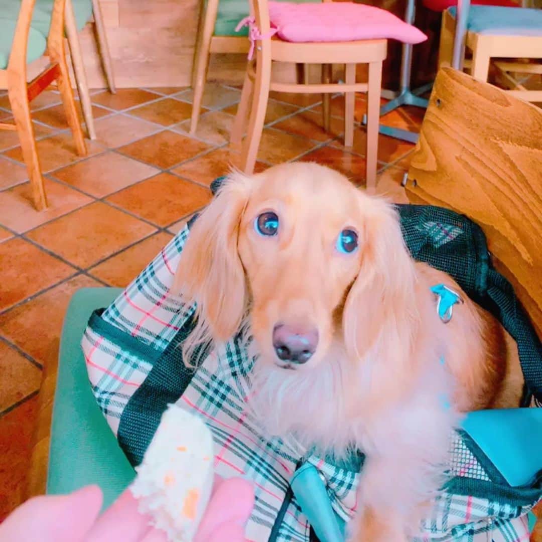 ゆうたむのグルメインスタ