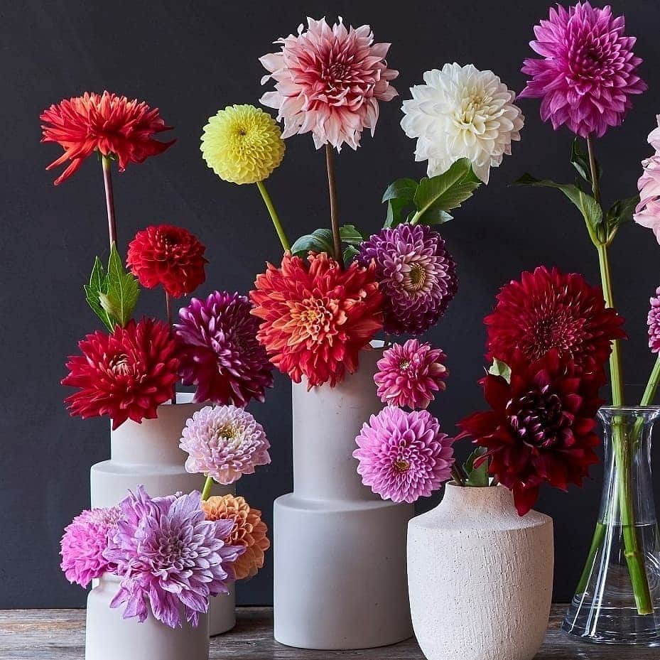 青山フラワーマーケットのグルメインスタ