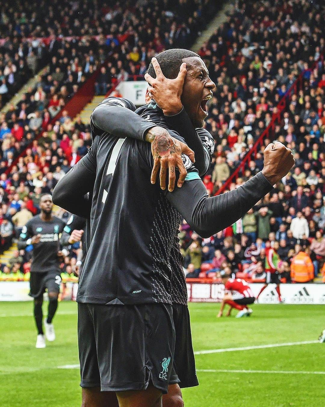 リヴァプールFCさんのインスタグラム写真 - (リヴァプールFCInstagram)「Another BIG week ahead 👊 MOOD: @gwijnaldum 💪🦁 #LFC #LiverpoolFC #Liverpool」9月30日 16時29分 - liverpoolfc