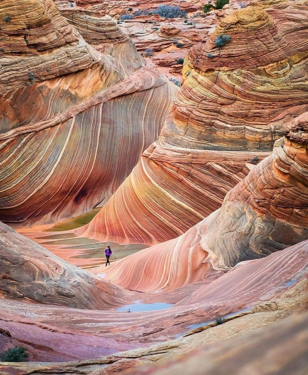 Wonderful Placesさんのインスタグラム写真 - (Wonderful PlacesInstagram)「The Wave - Arizona ✨❤️❤️❤️✨ . Pictures by ✨@travisburkephotography✨ & ✨@chelseakauai✨ . #wonderful_places for a feature ❤️」9月30日 17時03分 - wonderful_places