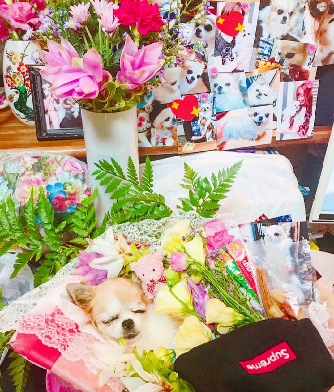 松本ゆんのインスタグラム