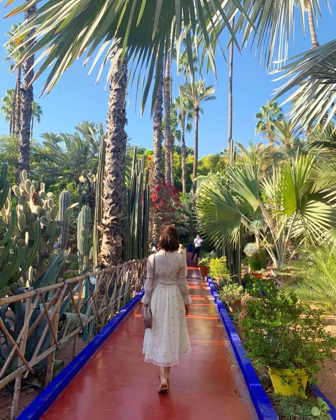 石井里奈さんのインスタグラム写真 - (石井里奈Instagram)「こんばんは🥰❤️ . 9月最終日ということで、モロッコ投稿最終回🇲🇦長期の旅行ポストお付き合いいただきありがとうございました😋❤️ . 最後に紹介するのはマラケシュに来たら絶対いきたかったイヴ・サンローランも愛した庭園、マジョレル庭園🌹🍃 . 世界各地の植物が集まり、色鮮やかで美しい空間にすっかり魅了されました🥺❤️ . 日本の竹林だったりサボテンだったり、本当にどの植物もイキイキとしてて元気をもらえるし、マジョレルブルーと呼ばれるブルーが庭に施され、建物も道もどこも可愛い☺️❤️ . パイナップルみたいな植物もかわいかったよ🍍 . マジョレル庭園の中にはイヴ・サンローラン博物館もあって、自分の生まれ年のLOVE絵葉書はお土産に買って帰りました🙆‍♀️❤️笑 ここに行った後に日本で @yslbeauty のpartyに行ったのでより楽しめました💕 . あー本当にかわいかったな〜☺️また行きたい！ Dress… @lissi__boutique . 今月もお疲れ様でした💕 10月からもよろしくね🍁 . #モロッコ #モロッコ旅行 #マジョレル庭園 #イヴサンローラン #ysl #モロッコ観光 #morocco #マラケシュ #マジョレルブルー #サンローラン #庭 #庭園 #garden #JardinMajorelle #MajorelleGarden #Majorelle #YvesSaintLaurent #SaintLaurent #blue #インスタ映え #beautiful #綺麗 #絶景 #nature #green #自然 #gardening #ガーデニング #サボテン #竹林」9月30日 19時33分 - ri7tin1025