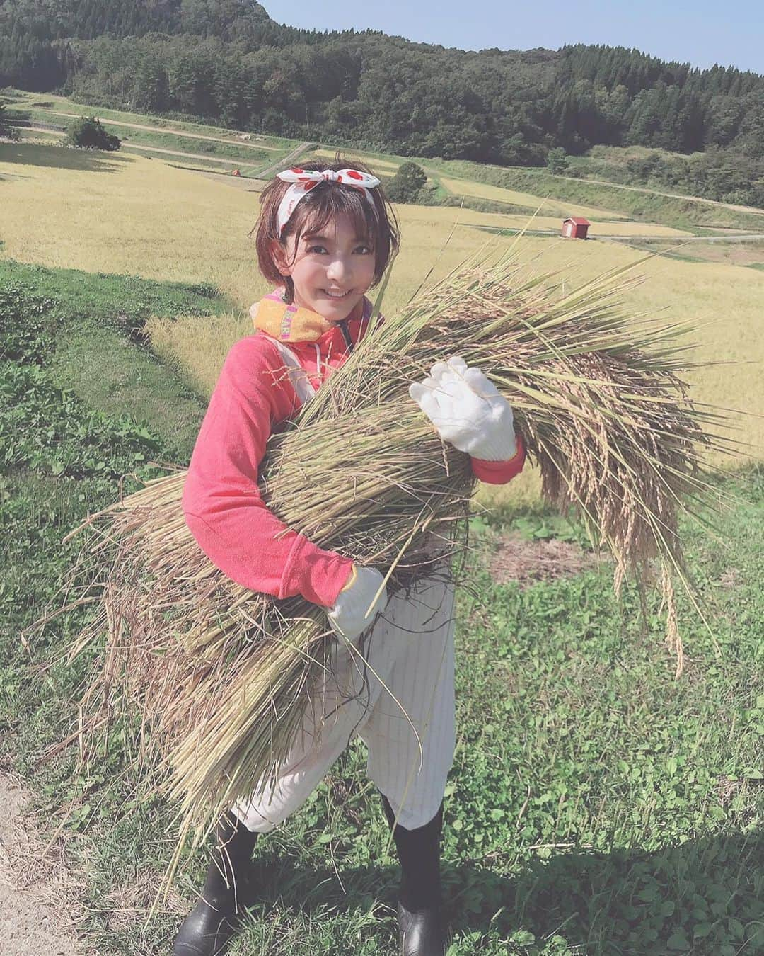 菅原りこさんのインスタグラム写真 - (菅原りこInstagram)「おじいちゃんとおばあちゃんが愛情込めて育てたお米🌾🌾🌾 愛情込めて刈って来ました🤗🌾✨」9月30日 21時20分 - cherryfairy1123