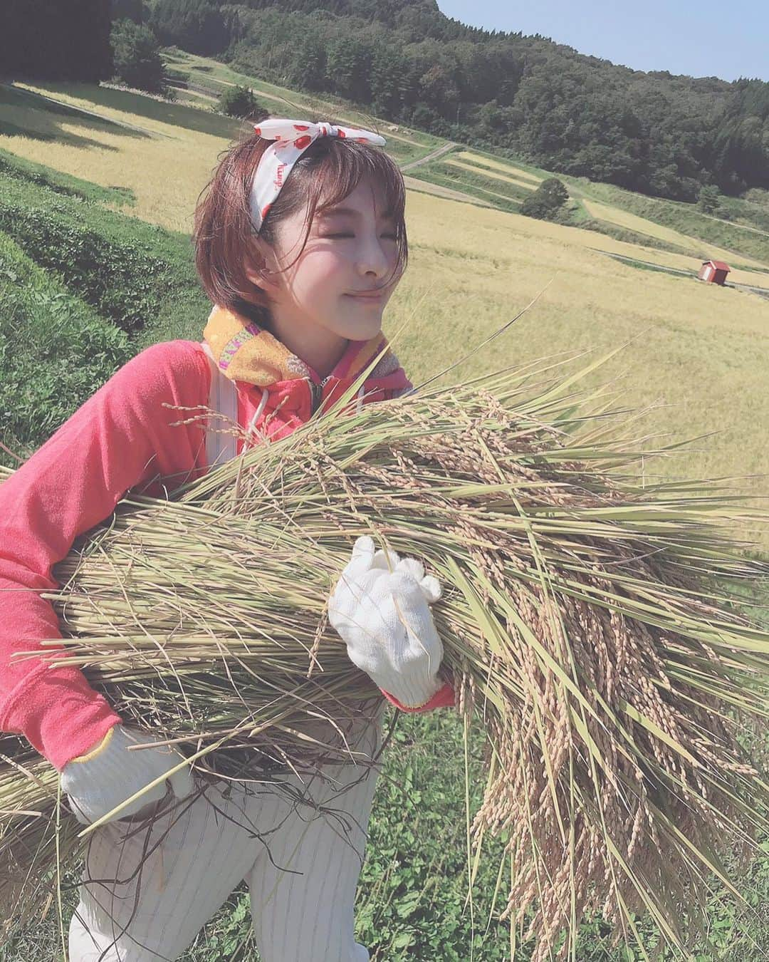 菅原りこさんのインスタグラム写真 - (菅原りこInstagram)「おじいちゃんとおばあちゃんが愛情込めて育てたお米🌾🌾🌾 愛情込めて刈って来ました🤗🌾✨」9月30日 21時20分 - cherryfairy1123