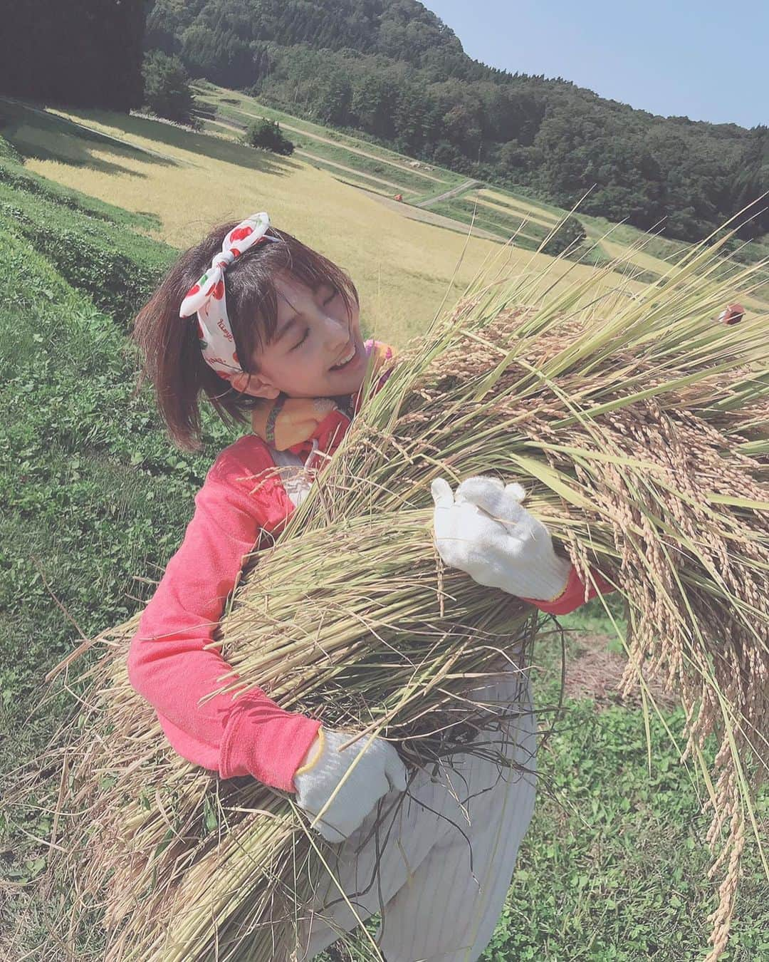 菅原りこさんのインスタグラム写真 - (菅原りこInstagram)「おじいちゃんとおばあちゃんが愛情込めて育てたお米🌾🌾🌾 愛情込めて刈って来ました🤗🌾✨」9月30日 21時20分 - cherryfairy1123