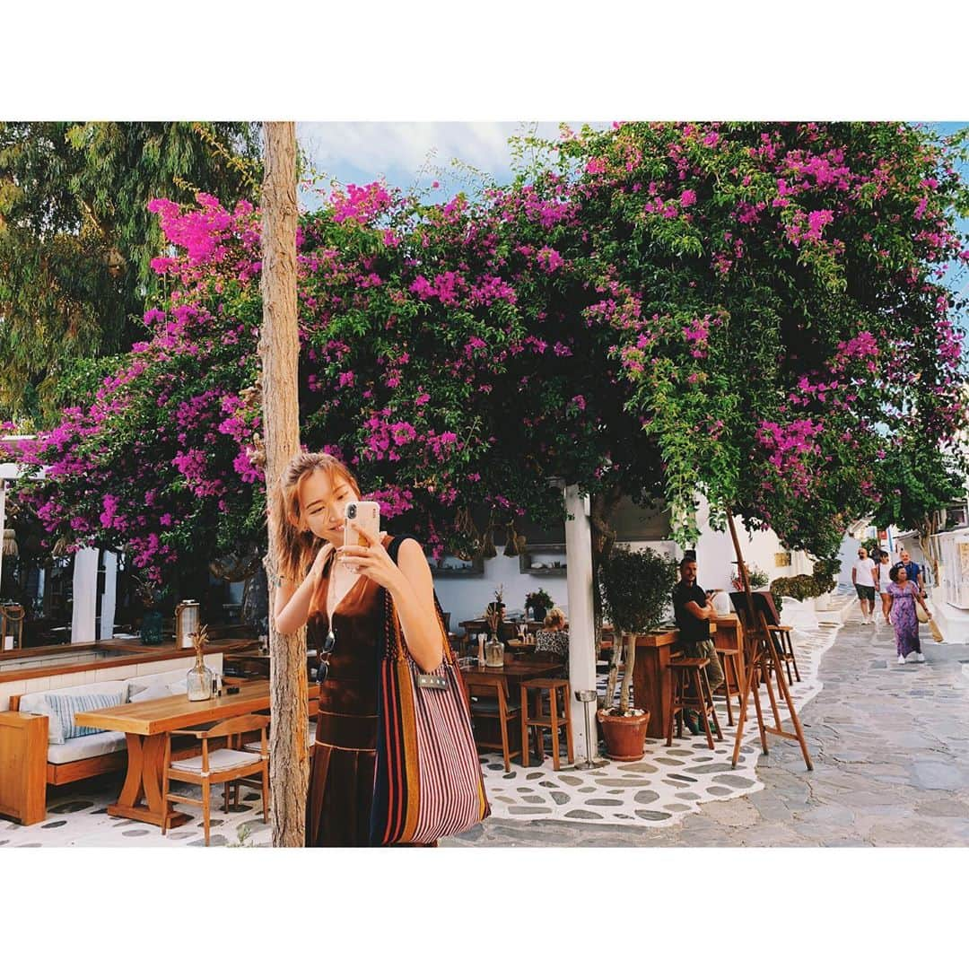 紗栄子さんのインスタグラム写真 - (紗栄子Instagram)「ギリシャへ🇬🇷🧚🏻‍♀️🐠 #greece」9月30日 21時26分 - saekoofficial