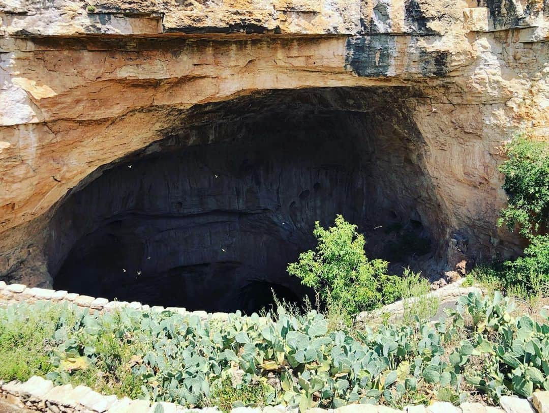 ザック・バランスキーさんのインスタグラム写真 - (ザック・バランスキーInstagram)「Carlsbad Caverns🦇🦇 You know I’m repping @alvark_tokyo @tokyo_is_yours_official @adidastokyo all over the world day in and day out🙌🔥 #alvarktokyo #tokyoisyours #adidas」9月30日 22時26分 - zackab10