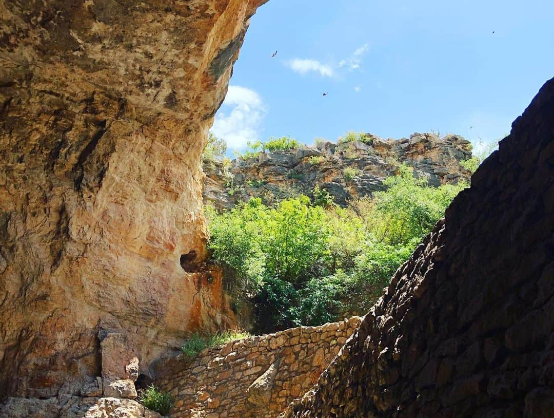 ザック・バランスキーさんのインスタグラム写真 - (ザック・バランスキーInstagram)「Carlsbad Caverns🦇🦇 You know I’m repping @alvark_tokyo @tokyo_is_yours_official @adidastokyo all over the world day in and day out🙌🔥 #alvarktokyo #tokyoisyours #adidas」9月30日 22時26分 - zackab10