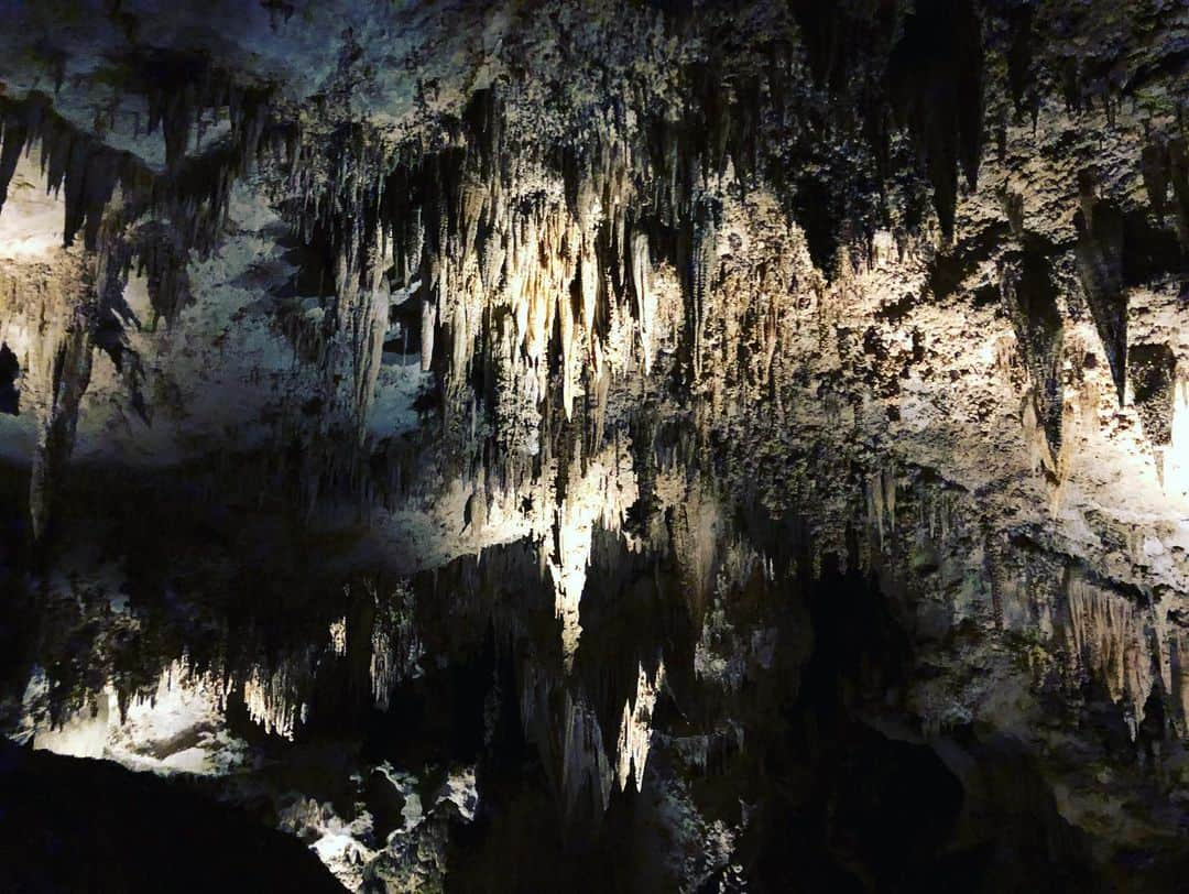 ザック・バランスキーさんのインスタグラム写真 - (ザック・バランスキーInstagram)「Carlsbad Caverns🦇🦇 You know I’m repping @alvark_tokyo @tokyo_is_yours_official @adidastokyo all over the world day in and day out🙌🔥 #alvarktokyo #tokyoisyours #adidas」9月30日 22時26分 - zackab10