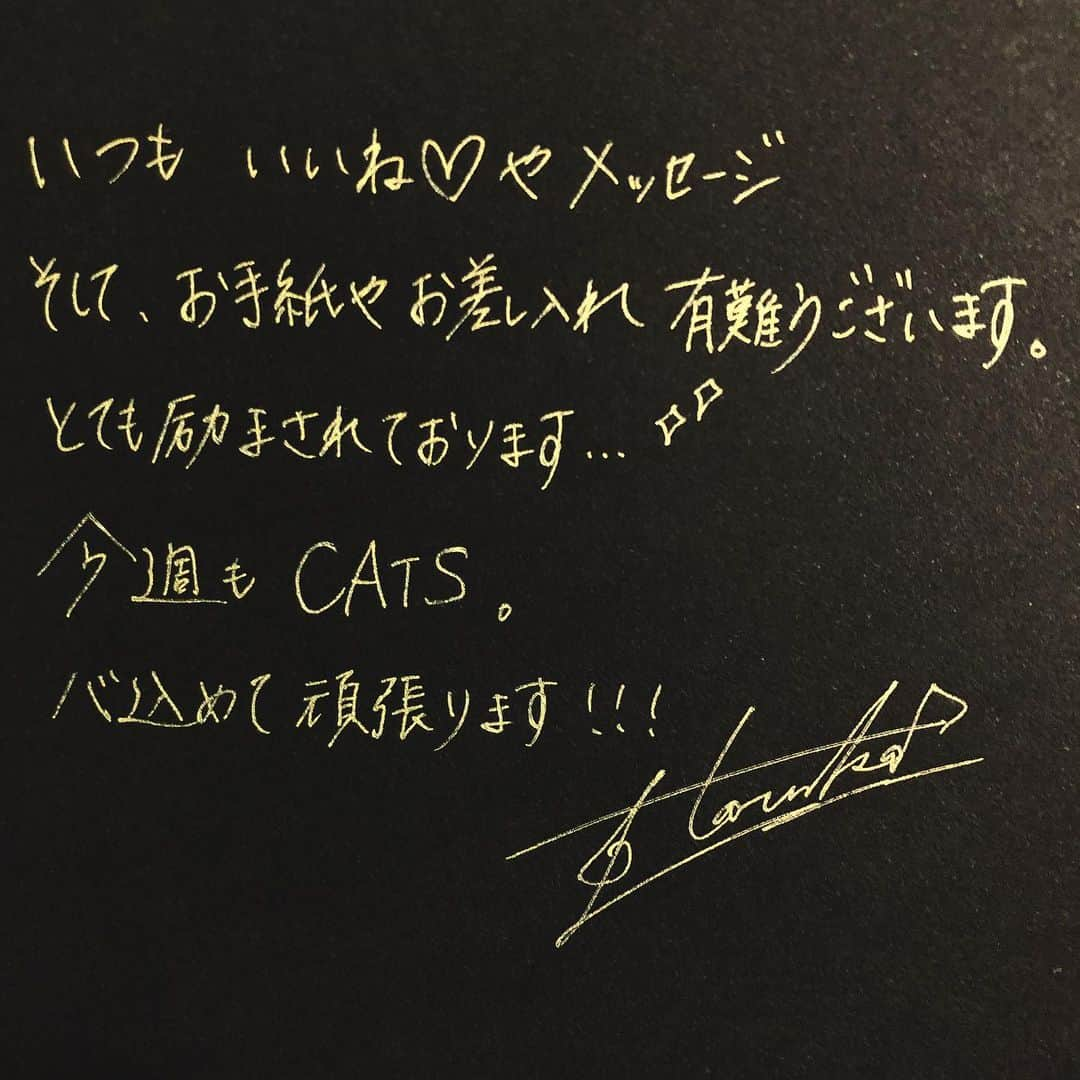 真瀬はるかさんのインスタグラム写真 - (真瀬はるかInstagram)「♡休演日♡ . . 色々やる事やって、生徒たちとレッスンもして、充実の1日でした♪ . . まつげパーマ掛け直して、ちょい盛りのカラコンにしたら目ヂカラ増量〜♪るるる〜 . . 明日は色々自分のお勉強Day&美容院。 忙しすぎてホントに放置してたから、やっと髪メンテ出来るの嬉しすぎる…😭 . . 心も身体も色々お手入れして、明後日からまたクリアな気持ちでキャッツな日々を頑張りたいと思います！！ . . あの空間に生きられる幸せに感謝。 . . #今週も #キャッツ #よろしくお願い致します #劇団四季 #劇団四季キャッツ #CATS #ジェリーロラム #グリドルボーン #真瀬はるか #感謝 #☺︎」9月30日 23時04分 - harukamanase_official