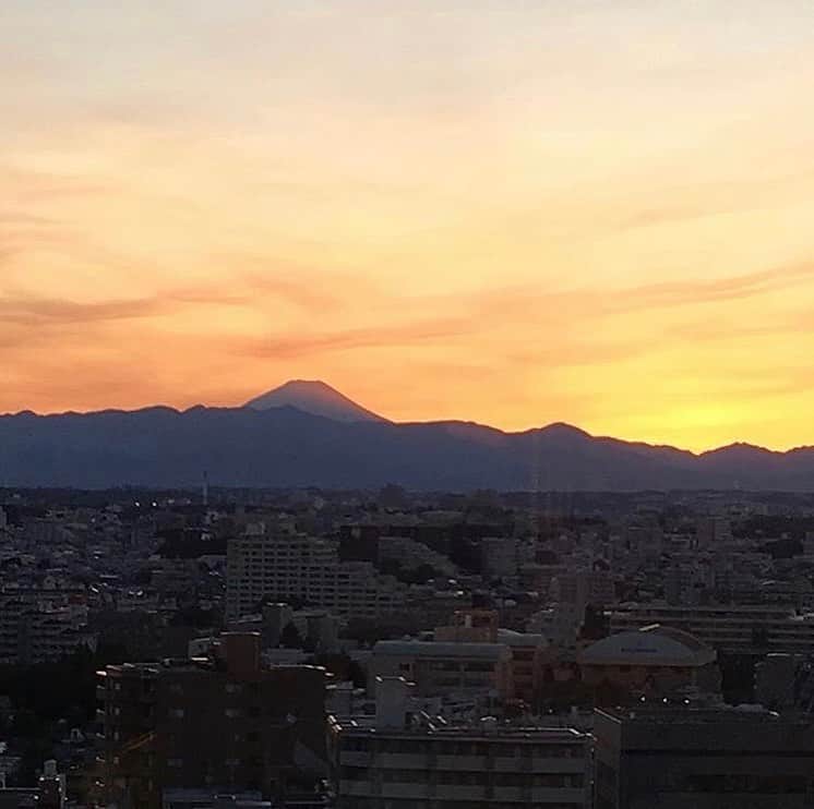 のインスタグラム：「Cafe Legatoで昼はランチタイムの景色  #富士山 #富士山を見える #渋谷でランチ #渋谷で食事 #渋谷カフェ #shibuyacrossing #lunchinshibuya #shibuyacoffee #shibuyabestrestaurant #shibuyabar#shibuyabirthday #渋谷女子会#渋谷おしゃれカフェ #渋谷おしゃれランチ #渋谷おしゃれなお店  #渋谷おしゃれレストラン」