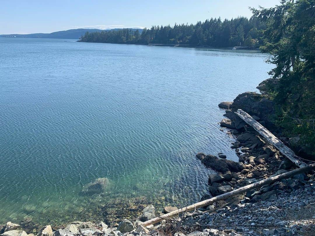 坂本美雨さんのインスタグラム写真 - (坂本美雨Instagram)「Salt Sping Islandの彩り！ #vancouver #saltspringIsland」10月1日 1時13分 - miu_sakamoto