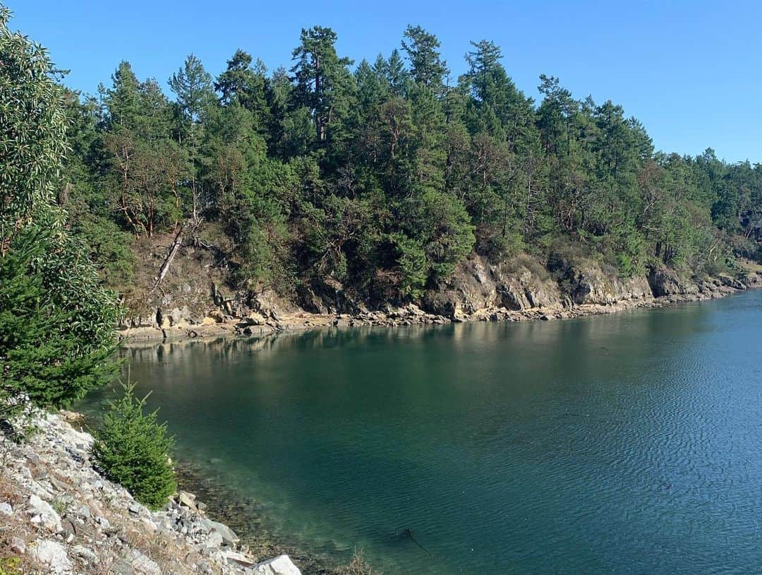 坂本美雨さんのインスタグラム写真 - (坂本美雨Instagram)「Salt Sping Islandの彩り！ #vancouver #saltspringIsland」10月1日 1時13分 - miu_sakamoto