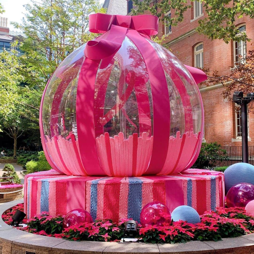 CanCamのグルメインスタ