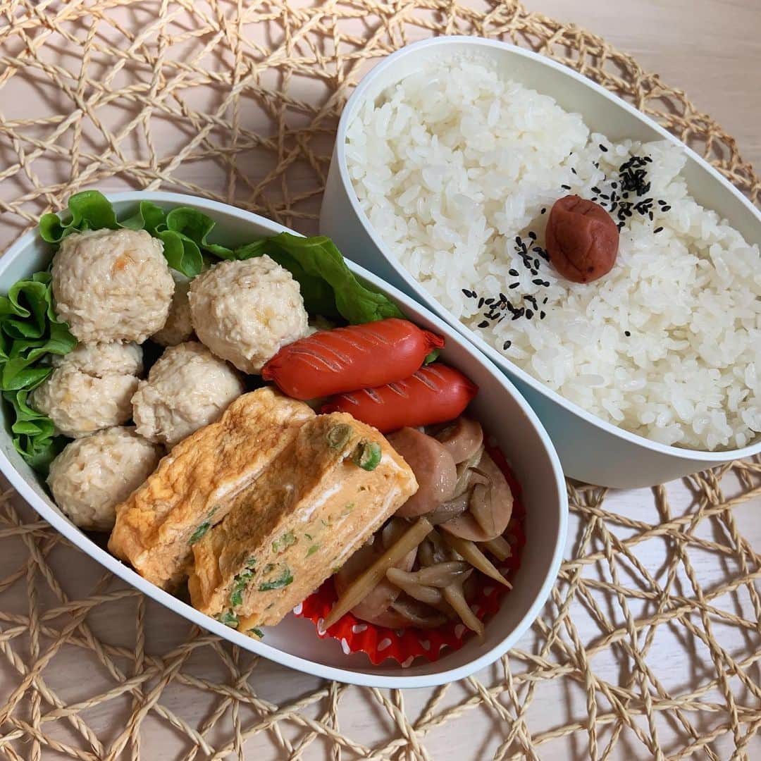 本田しおりのインスタグラム：「#今日のお弁当  #生姜つくね弁当  #お弁当 #本田弁当 #旦那さん弁当  #神ちゃん弁当  #神弁」
