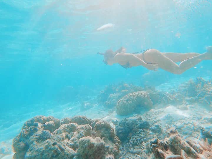 のインスタグラム：「・ Philippine Coron island 🧜‍♀️🐠 ・ フィリピンのパラワン諸島は数多くの秘境と呼ばれる島がある。 その中で有名なのがエルニド。 ただ最近は旅行客も増え、海も以前より汚れ、 どこに行っても人だらけと聞いた。 エルニドよりも知名度が低く、 美しい海と島があると聞いて調べてたどり着いたコロン島。  動物の鳴き声で目が覚め、 真っ赤に燃える朝陽と夕陽、 時折降るスコール、 雄大な山とどこまでも青い海。  私みたいに自然大好きな人には堪らない島です。  #workoutmotivation #traveling #traveldeeper #philippines #coron #coronisland #sea #miharukurachi #earthwarrior #fitness #bikini #ifbbbikini」