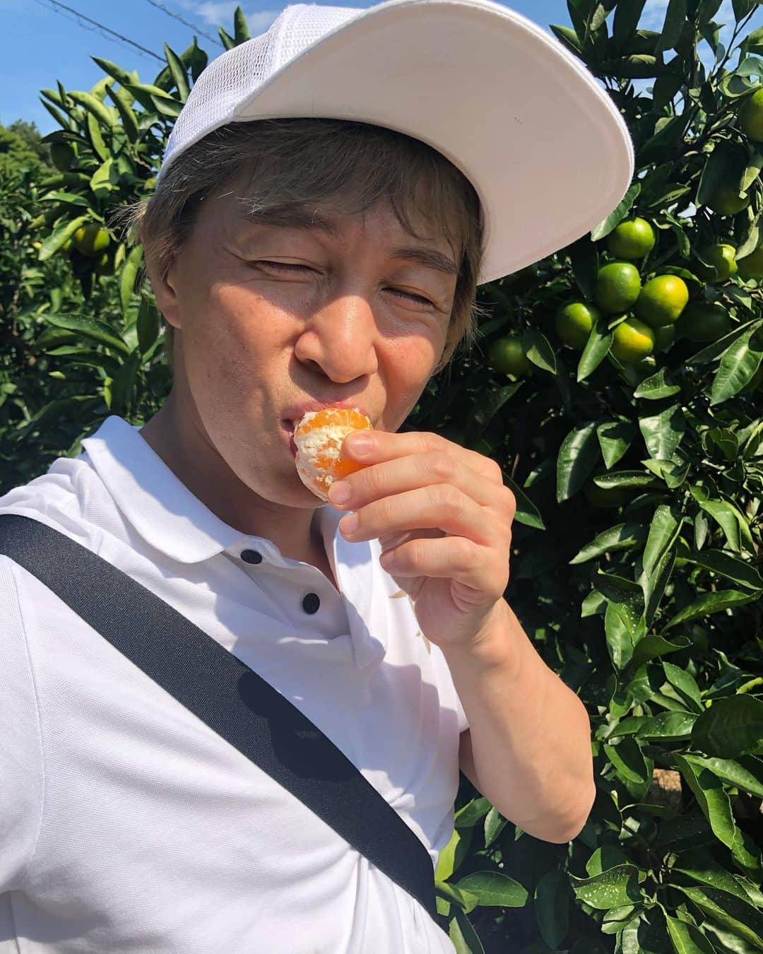 アキ（荒木良明）さんのインスタグラム写真 - (アキ（荒木良明）Instagram)「淡路島🎶みかん狩り🍊←この色じゃない皮の色。一瞬、緑？まだ若いんかな？酸っぱいんかな？と思ったけど、品種らしい。適度な甘みと酸味が絶妙な美味しさ😋葉っぱを切らないようにチョキン✂️クルクル回してもいで食べてもいで食べて。お持ち帰りもした⤴︎⤴︎今度はレモン狩りしよ🍋 やや細い道路やけど、ミカン狩り、アト700mとかアト150mとかあちこちに看板があって親切🙏✨✨#感謝  #子どもと遊び隊 #水玉れっぷう隊アキ #吉本新喜劇アキ #淡路島 #平岡農園 #ミカン狩り #収穫」10月1日 8時41分 - mizutamareppuaki