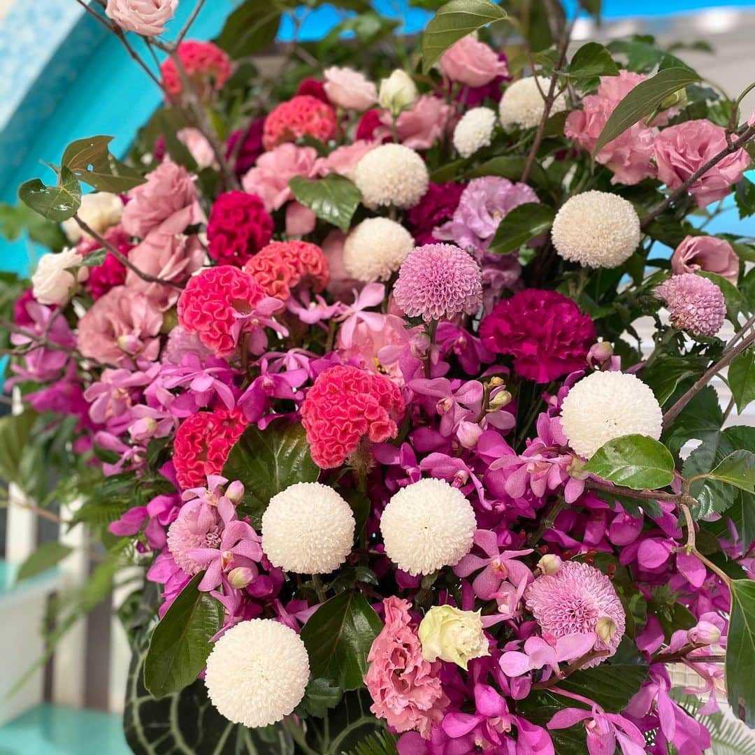 のインスタグラム：「🌺9/30の週のスタジオ装花🌺  #ピンポンマム #ケイトウ #ヤマテラシ　#ヤマテラシの枝 #トルコキキョウ　#カーネーション #てまり草　#モカラ　#モカラマゼンダ  #takeshithemangrove "朝晩の涼しげな風と秋の音色を、桃色のグラデーションで表現しました" by TAKESHI THE MANGROVE  #秋の花　#秋のフラワーアレンジメント　#秋の装花　#花が好き　#花が好きな人と繋がりたい  #花がある暮らし #花を飾る #花を飾る生活 #スタジオ装花　#装花　#フラワーアレンジメント　#ピンクの花　#桃色グラデーション」