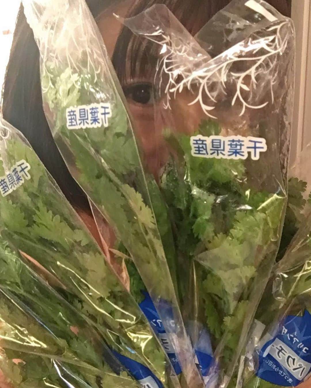 範田紗々さんのインスタグラム写真 - (範田紗々Instagram)「豆乳鍋にもパクチーって合うのね♡ #今夜もササごはん #若林美保 #範田紗々」10月1日 10時33分 - handa_sasa