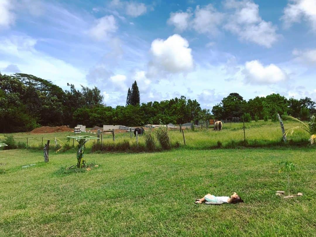板井麻衣子さんのインスタグラム写真 - (板井麻衣子Instagram)「. #旅のおもひで#maui#マウイ （記録がてらちょこちょこ挙げていきます。しばしお付き合い下さい〜） . マウイに着いてすぐお世話になった、ヴィーガンシェフのAyakoさんが営むB&B、Zen Island Farm @zenislandfarm 。 広大な敷地に農園を併設していて、そこで採れたオーガニックの果物やお野菜がテーブルに並ぶという贅沢。そして丘の上から海を臨む最高のロケーション！気持ちが良すぎてお団子娘はやたら芝生にゴロンしてました笑。（3枚目の写真と5つ目の動画 #ギリ日なた を参照。） そして、朝食に頂いたヴィーガンワッフルが美味しかった〜❤️そのワッフルの上に乗ってる"ヴィーガンバター"、これもまた衝撃で、ココナッツオイルがベースになっているそうなんですが、生乳から作られる普通のバターと間違いそうになるほどコクがあるんです。何となくのイメージから来る"味気なさ"は皆無！目から鱗がハラハラ落ちました。 . #zenislandfarm#maui#familytrip#vegan#farmtotable#マウイ#家族旅行#ヴィーガン」10月1日 21時40分 - maikorophone