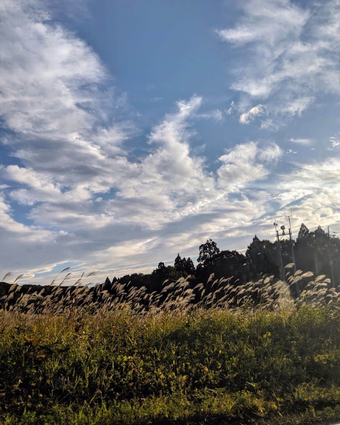 吉田沙世さんのインスタグラム写真 - (吉田沙世Instagram)「starting to feel autumun in the air ✨ Hello October 🌾🍂」10月1日 14時08分 - sayobaby