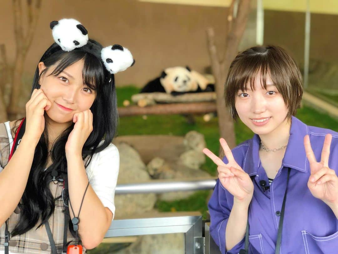 NMB48さんのインスタグラム写真 - (NMB48Instagram)「✳︎﻿ ﻿ NMB48の女子旅コンテンツが無料アプリ #WATCHY で配信中！（毎週火曜日と金曜日に更新）﻿ ﻿ #白間美瑠 × #太田夢莉 の気ままな女子旅、第4回目！﻿ ﻿ 今回から #アドベンチャーワールド 編﻿ app.adjust.com/zw9mojy﻿ ﻿ #NMB48」10月1日 14時28分 - nmb48_official