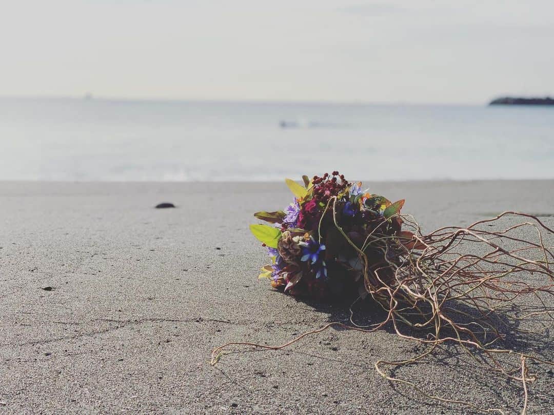 のインスタグラム：「back to the sea 海に帰るのだ #akivazama #hanatombo #flowers」