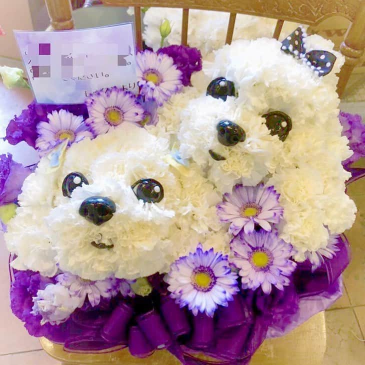 朝比奈南さんのインスタグラム写真 - (朝比奈南Instagram)「いただいたお花がかわいすぎる💜 うちのわんこたち🐶🐶 ありがとう！！ #花 #お花 #flower #かわいい #kawaii #present #プレゼント #ありがとう #犬 #dog」10月1日 15時34分 - minami_asahina