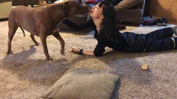 のインスタグラム：「この動画好き😂 One of my FAVS💕 Me playing with my own kind  #Animals #R #So #CUUUTE」