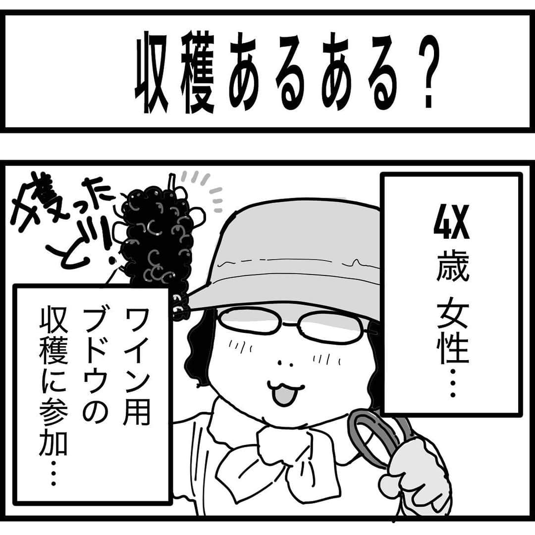 佐藤智美のインスタグラム