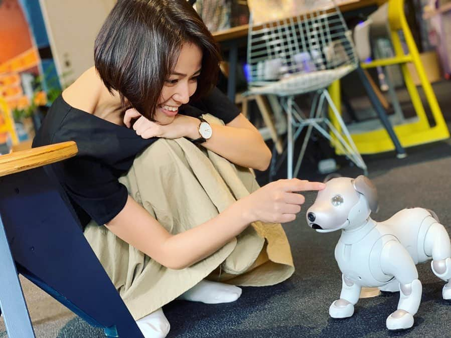 新谷あやかさんのインスタグラム写真 - (新谷あやかInstagram)「Aibo君お手してくれたー！！！🐶 ・  This is Aibo. How do you say "Ote" in English? .  #新谷あやか #しんやあやか #shinyaayaka  #actress #女優 #英語の先生 #englishteacher  #aibo #アイボ #ワンちゃん #お手  #相棒」10月1日 19時40分 - shinya.ayaka