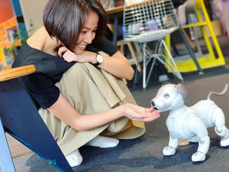 新谷あやかさんのインスタグラム写真 - (新谷あやかInstagram)「Aibo君お手してくれたー！！！🐶 ・  This is Aibo. How do you say "Ote" in English? .  #新谷あやか #しんやあやか #shinyaayaka  #actress #女優 #英語の先生 #englishteacher  #aibo #アイボ #ワンちゃん #お手  #相棒」10月1日 19時40分 - shinya.ayaka