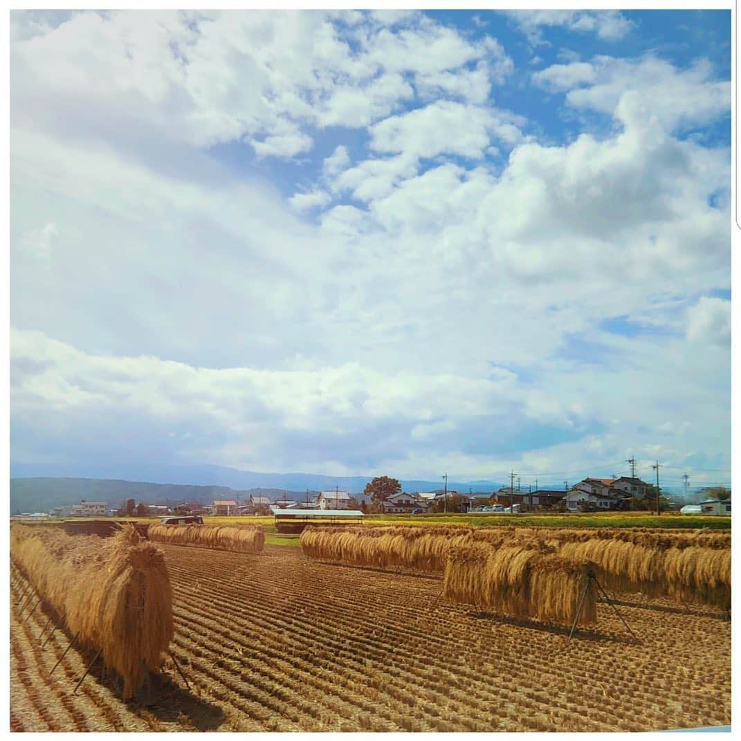 高梨臨さんのインスタグラム写真 - (高梨臨Instagram)「長野に行ってきました。 広い空。癒されるー！！！！」10月1日 20時12分 - rintakanashi_official
