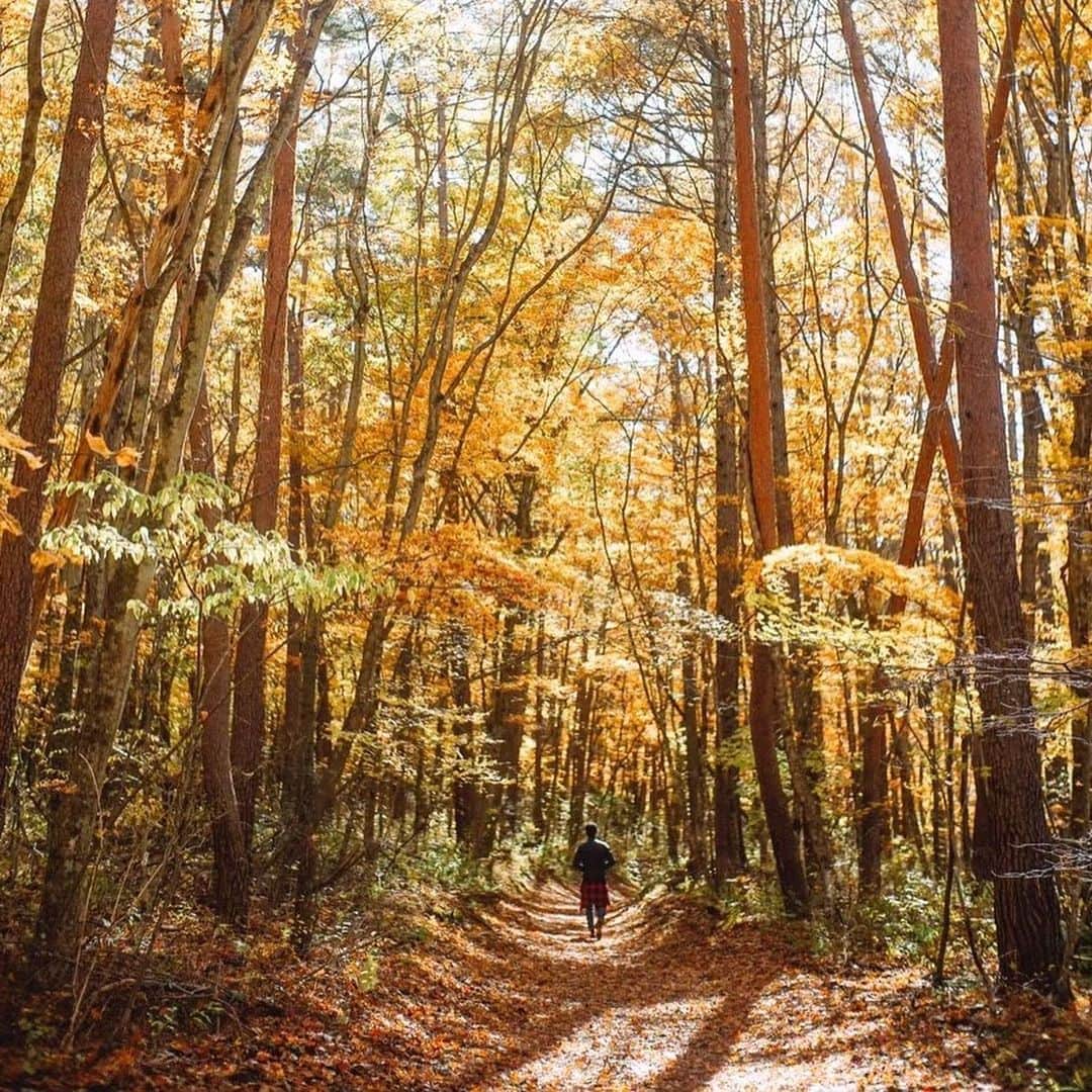 Naokoのインスタグラム：「soon.. * 大好きな秋がやってくる10月。 さてどんな月になるかな。」