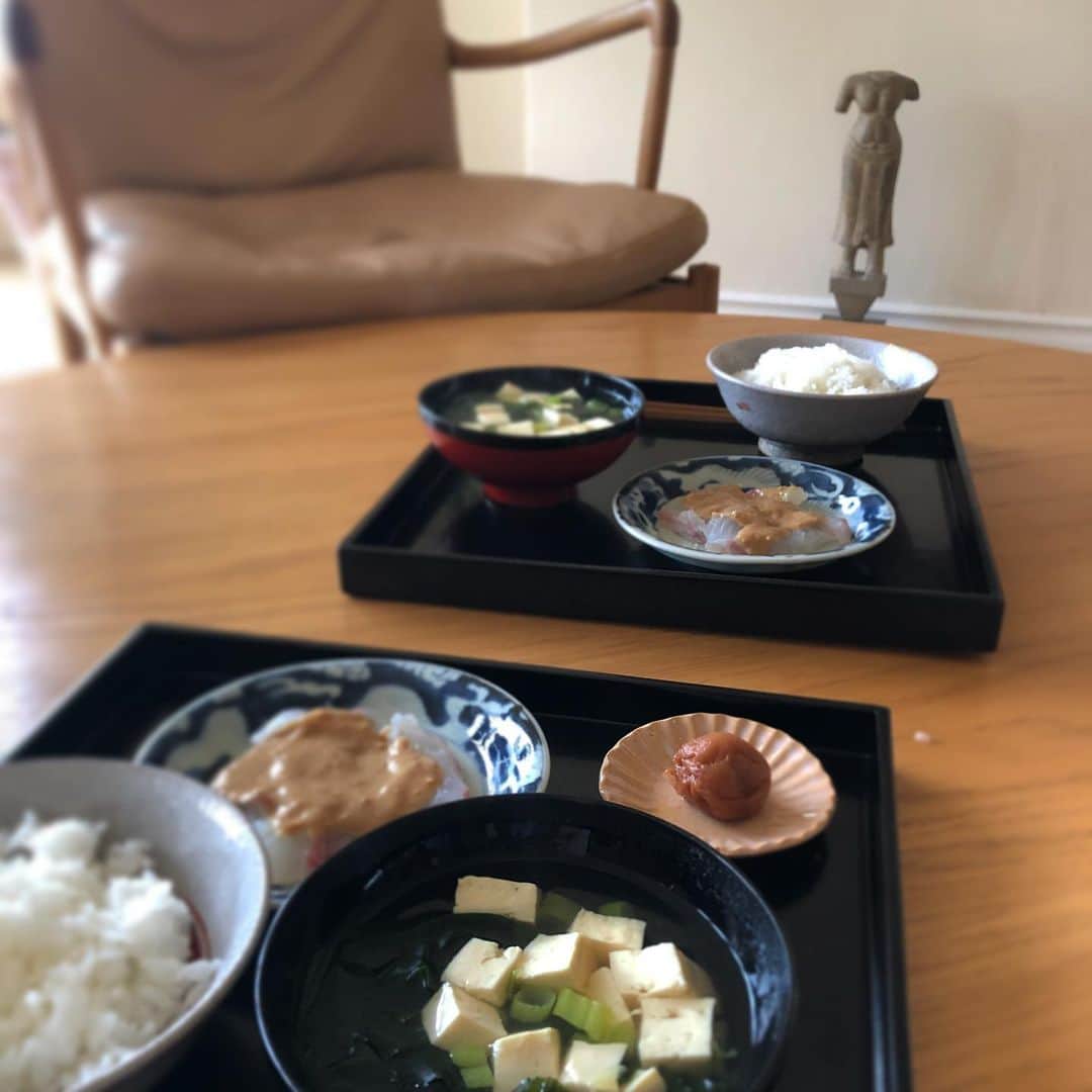 行正り香さんのインスタグラム写真 - (行正り香Instagram)「おはよございます。昨日はラグビーボールメンチカツが大きくて食べられなかった半額セールのお刺身を、ゴマだれで朝ごはんにしました。味噌ドレッシングにゴマと練りゴマ、ポン酢混ぜただけですが。^_^#行正り香 #和食ごはん #rikayukimasa #カラオケenglish #朝ごはん#夕方のスーパー最高」10月2日 7時38分 - rikayukimasa