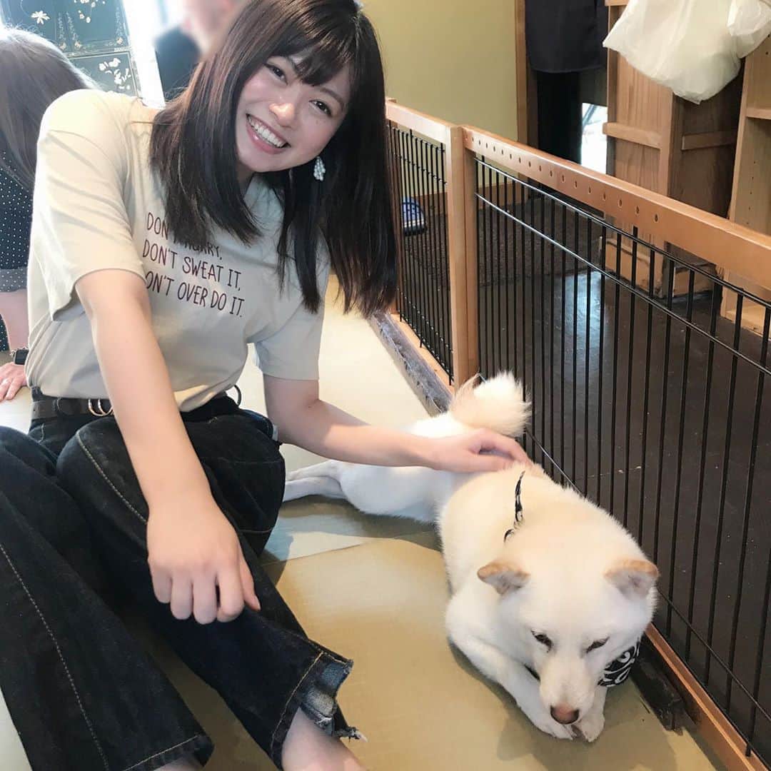 鈴木このみのインスタグラム：「目が凄く優しい🐕☺️ 実家のチャコ&ルーちゃんにも会いたくなりました🐕  #豆柴🐕」