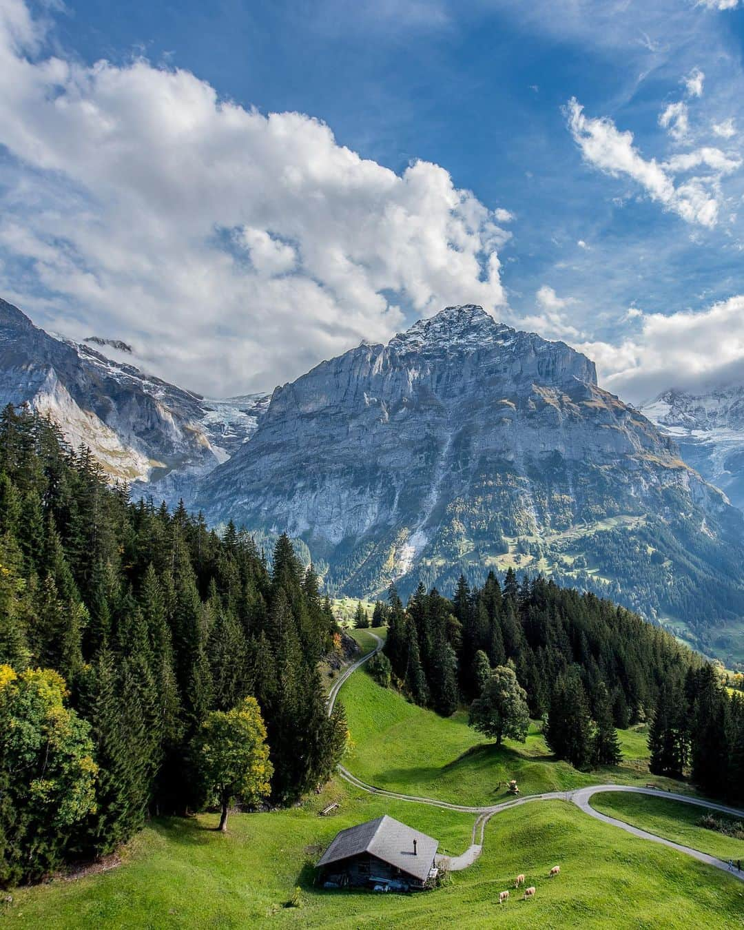 Wonderful Placesさんのインスタグラム写真 - (Wonderful PlacesInstagram)「Grindelwald - Switzerland ✨❤️❤️❤️✨ Tag your friends!!! @grindelwaldfirst @grindelwald_eiger @myswitzerland . Pics by @cbezerraphotos  #grindelwald #grindelwaldfirst #inlovewithswitzerland」10月2日 2時49分 - wonderful_places