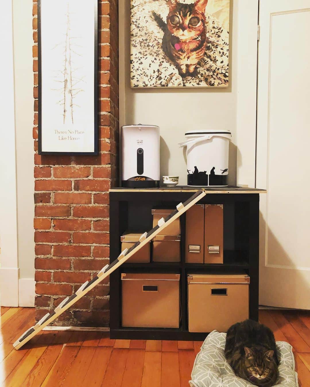 のインスタグラム：「My new apartment 😻🏢💜 it took me just one day to learn how to use that ramp! 🎉#homesweethome #cathouses #blindcats #amazingcats #amazing #catsofinstagram #aliencatmatilda #proud #paintillio #ikeahacks」