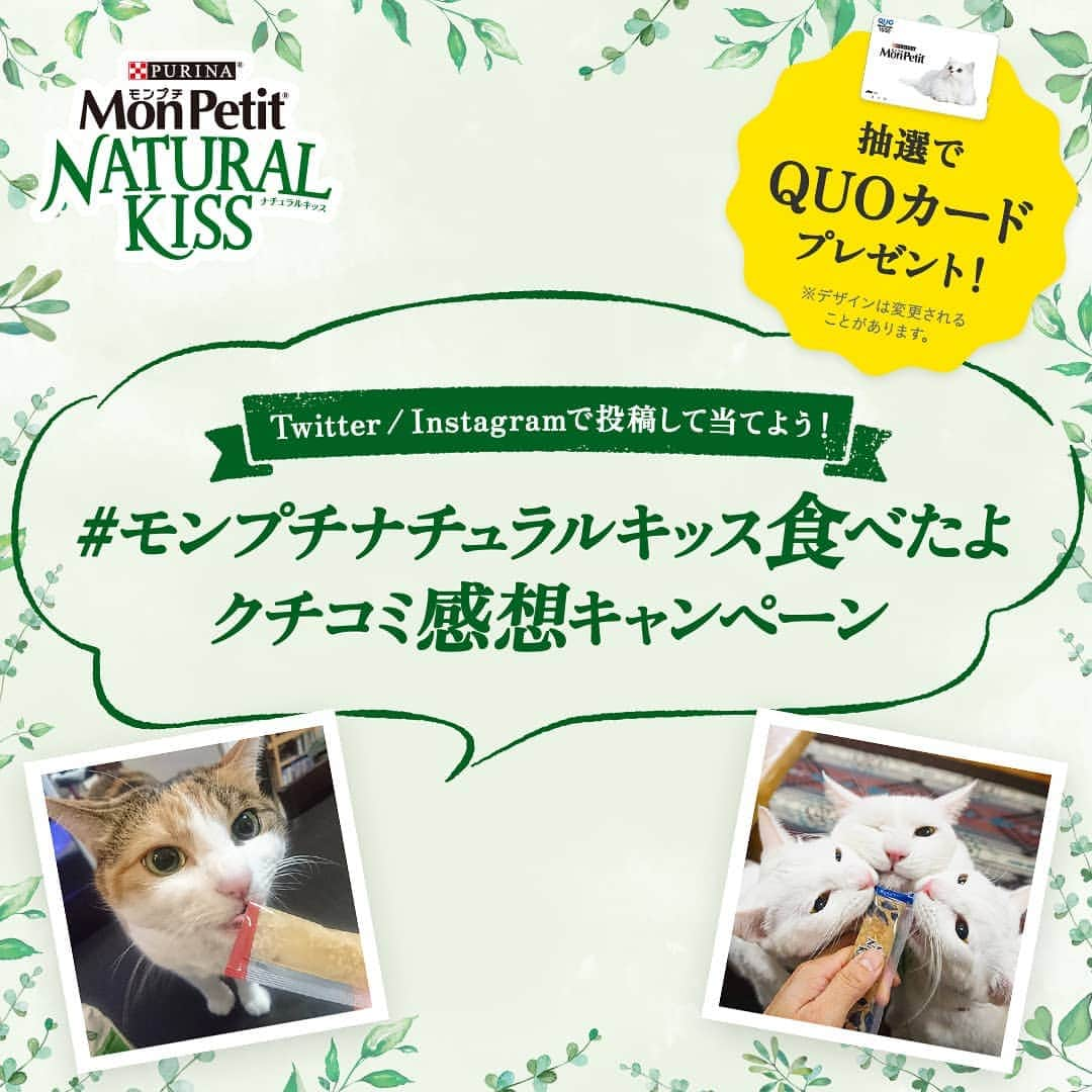 Purina Mon Petit Japanのインスタグラム：「＼クチコミ感想大募集／  あなたのネコちゃんが「モンプチナチュラルキッス」を試した感想を投稿してください😺  抽選でQUOカード(1000円分)を100名様にプレゼント🎁  1⃣ monpetit_jp をフォロー  2⃣ #モンプチナチュラルキッス食べたよ  をつけて感想コメントを投稿  HPをチェック  https://nestle.jp/brand/monpetit/campaign/naturalkiss_review_cp/index.html」