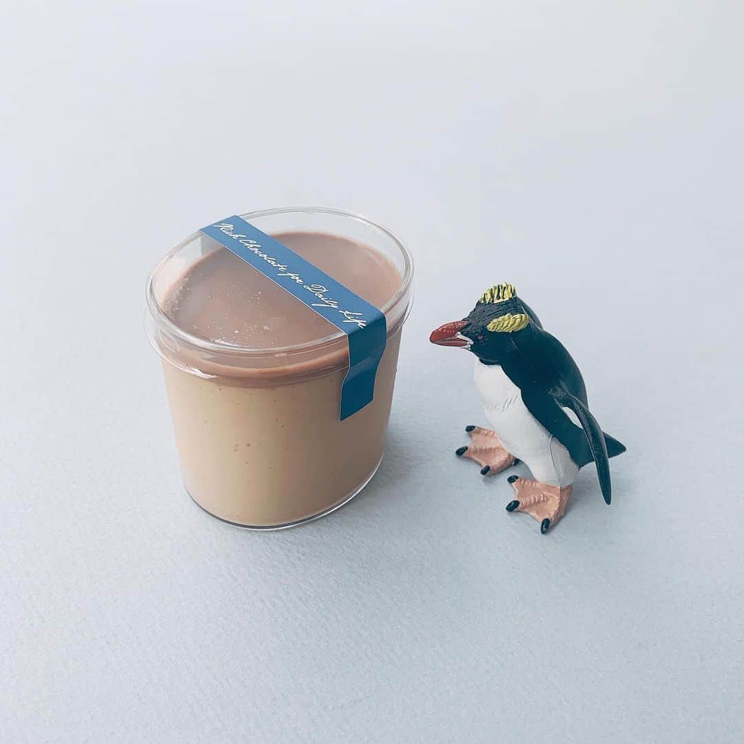 のインスタグラム：「ca ca oのチョコぷりんです。前代未聞のトロトロ食感。なめらかすぎて、驚いている間になくなってしまいます。でもアロマ生チョコとマダガスカル産のバニラを使用しているため、味わいにはしっかり奥行きがあって余韻も残ります。チョコ好きにもぷりん好きにもおすすめなおやつです😎（編集U）  #SPUR #SPURおやつ部 #cacao #カカオ #チョコぷりん #アロマ生チョコ　#チョコレート #ぷりん #SPUR #fashion #mode #follow #newin」