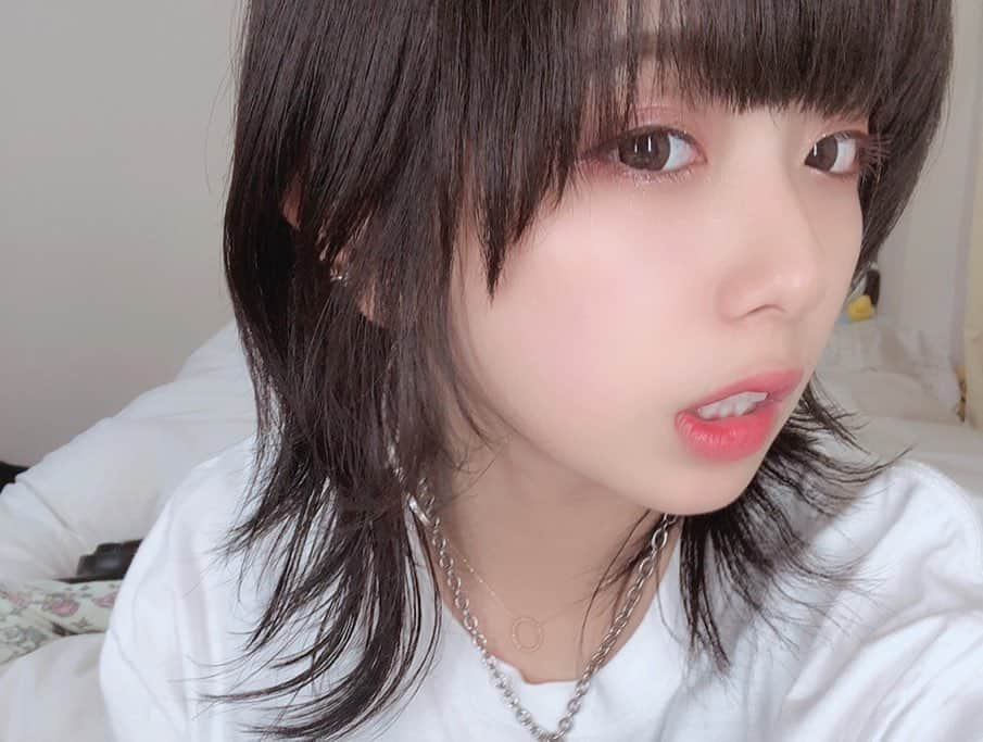 ぬーんさんのインスタグラム写真 - (ぬーんInstagram)「ウルフカット🐺✂︎ #wolf #wolfcut #newhair #new #hair #colour #colors #haircolor #cool #cute #love #japan #japanese #japanesegirl #girl #follow #followme #youtuber #nuuuuun」10月2日 16時04分 - yukino_snow1211