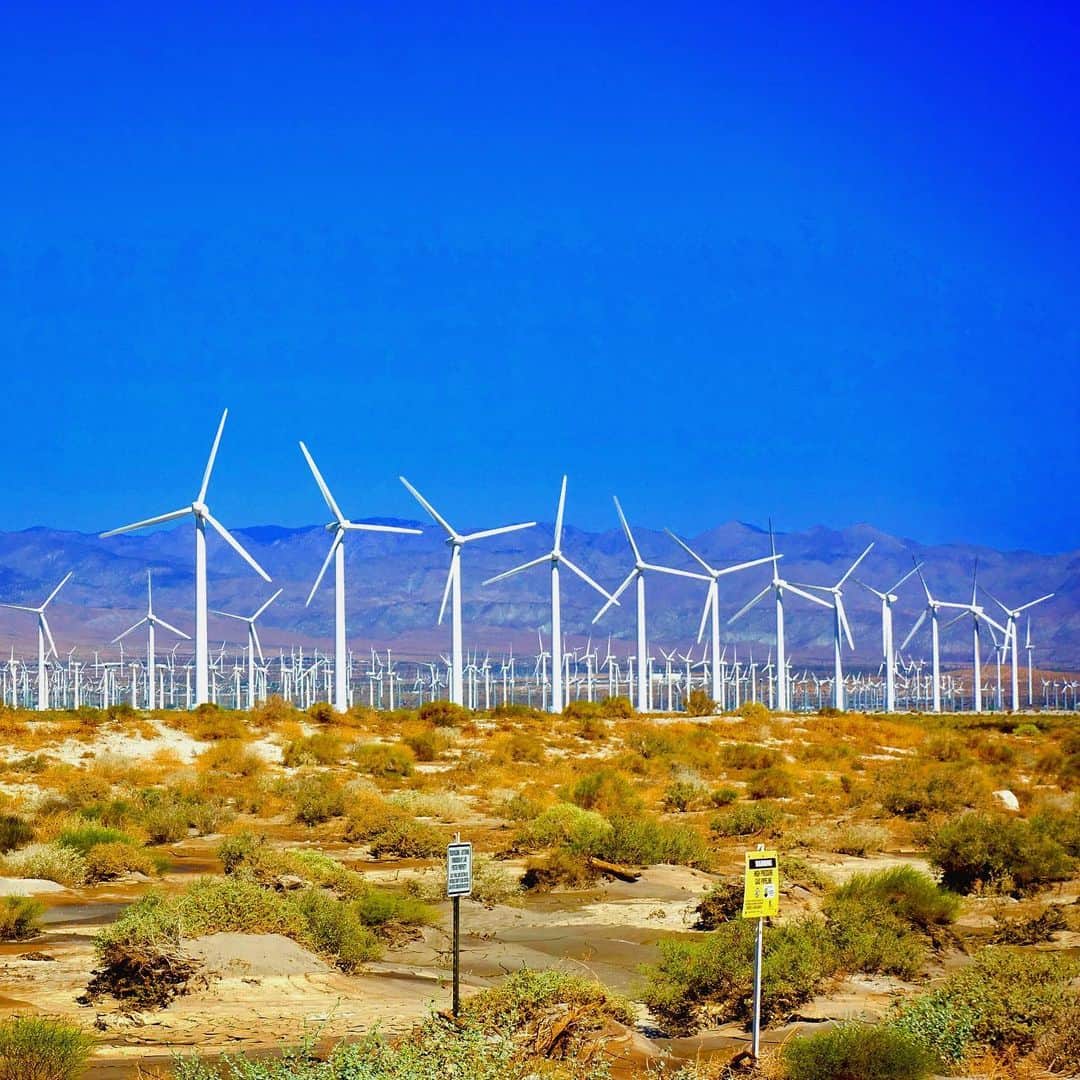 川原亜矢子さんのインスタグラム写真 - (川原亜矢子Instagram)「Gentre breeze ╰(*´︶`*)╯♡ #palmsprings #california #rizcarltonranchomirage #windpower #view #パームスプリングス #カリフォルニア #リッツカールトンランチョミラージュ #風力発電 #絶景 #ayakokawaha #川原亜矢子」10月2日 16時25分 - ayakokawahara