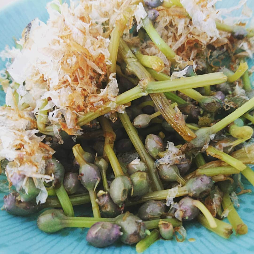 鈴木おさむさんのインスタグラム写真 - (鈴木おさむInstagram)「今日の朝食。妻が買ってきた山菜。ぬめり気がありかなりおいしいのですが、妻が肝心の名前を忘れました。なんて名前かわかりますか？」10月2日 8時36分 - osamuchan_suzuki